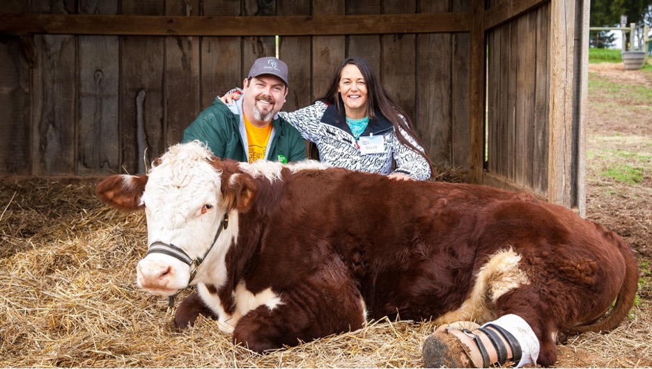 The Gentle Barn: Promoting Animal Wellbeing and Valuable Human Connections